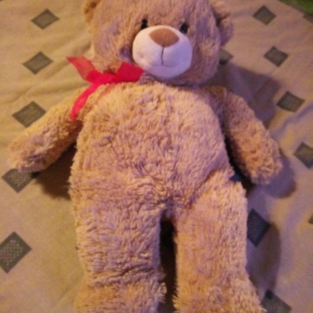 Soft Teddy Bear